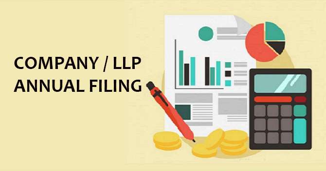 Company / LLP Annual Filing